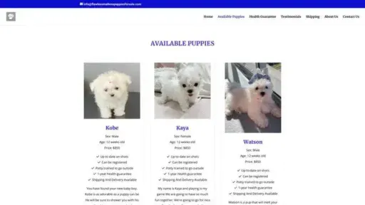 Screenshot of