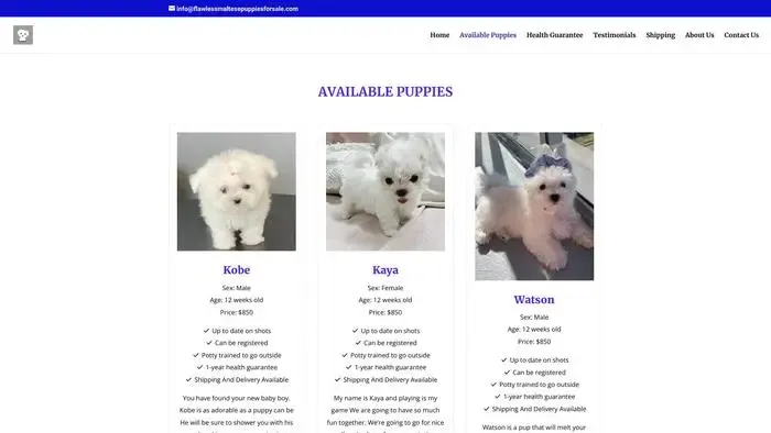Screenshot of