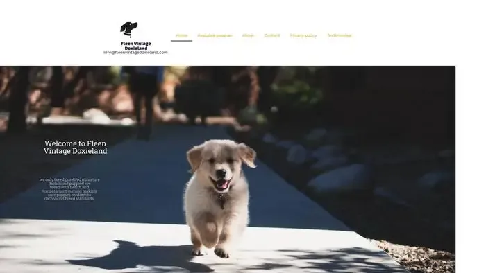 Screenshot of