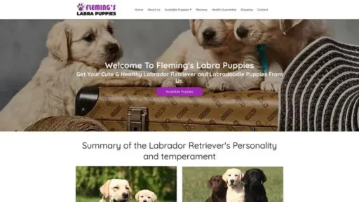 Screenshot of