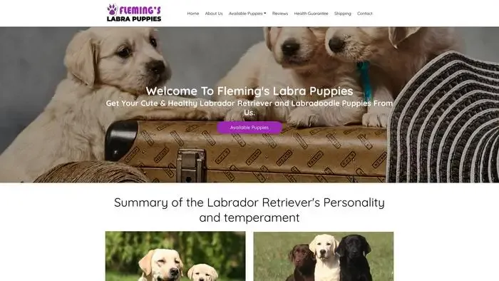 Screenshot of