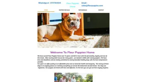 Screenshot of