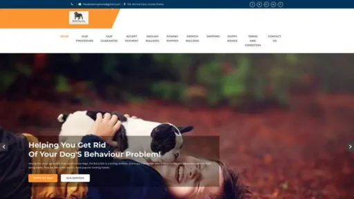 Screenshot of