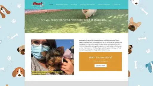 Screenshot of