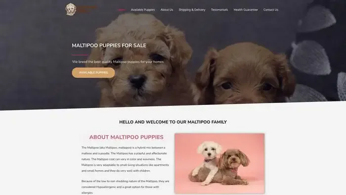 Screenshot of