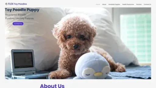Screenshot of