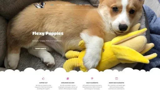 Screenshot of