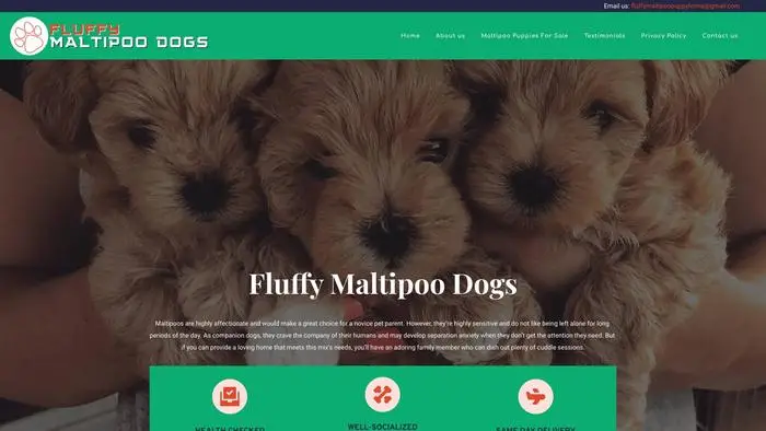 Screenshot of