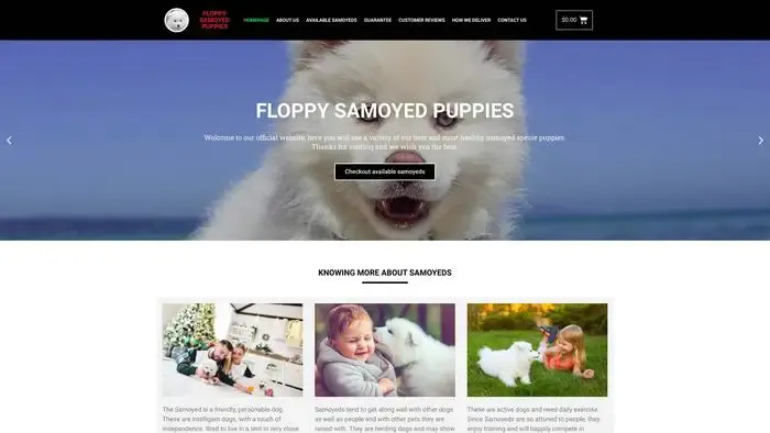 Screenshot of