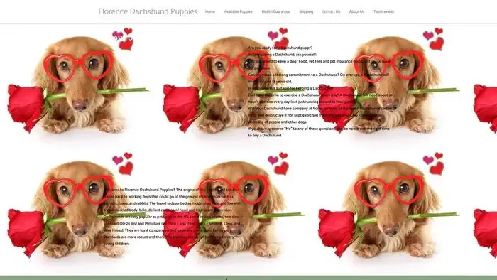 Screenshot of