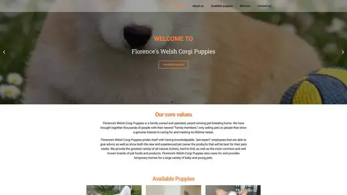 Screenshot of