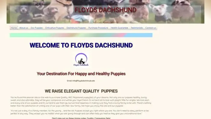 Screenshot of