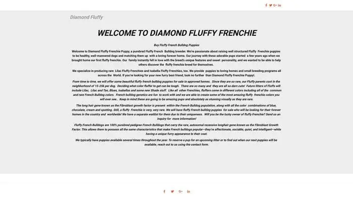 Screenshot of