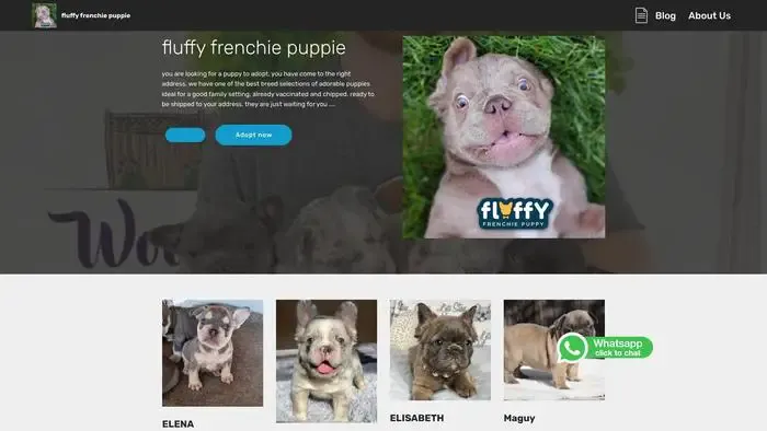 Screenshot of