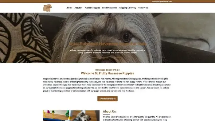 Screenshot of