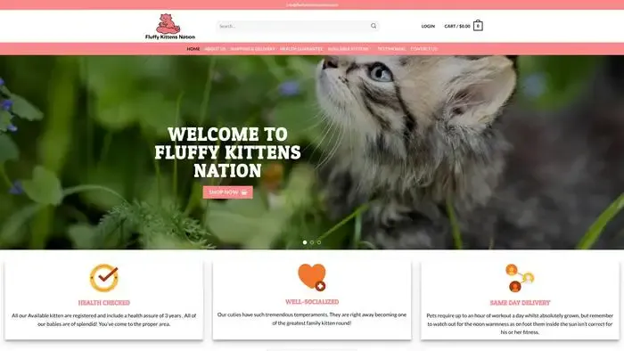 Screenshot of