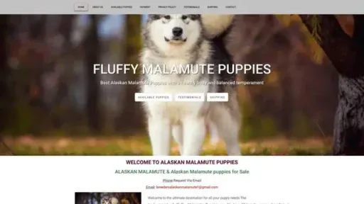 Screenshot of