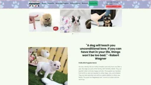 Screenshot of
