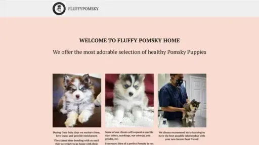 Screenshot of