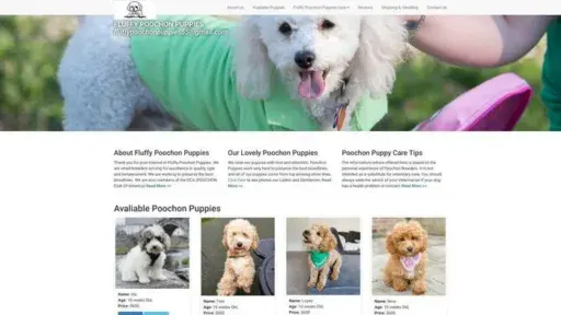 Screenshot of