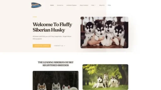 Screenshot of||