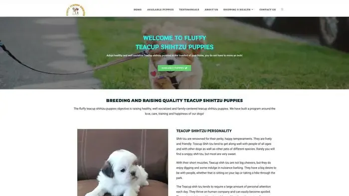 Screenshot of