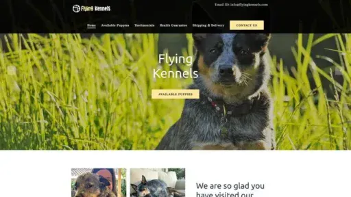 Screenshot of|