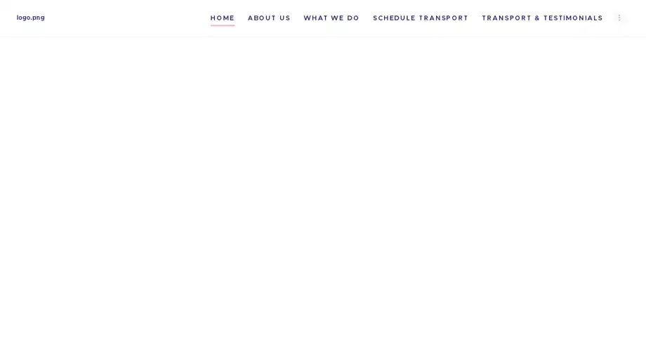 Screenshot of|
