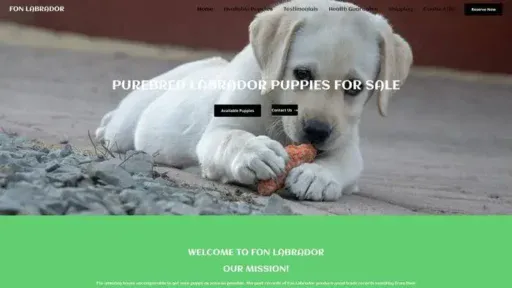 Screenshot of