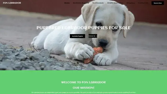 Screenshot of