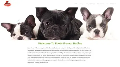Screenshot of