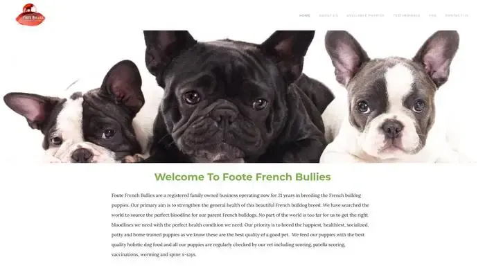 Screenshot of