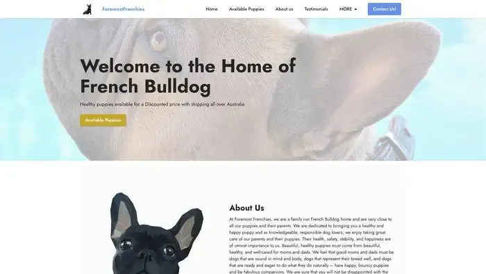 Screenshot of