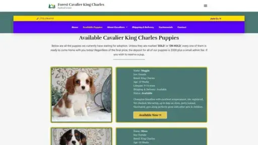 Screenshot of