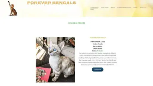 Screenshot of