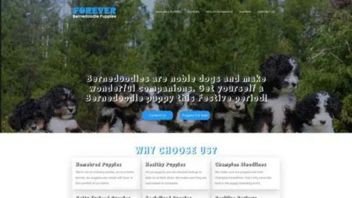 Screenshot of||