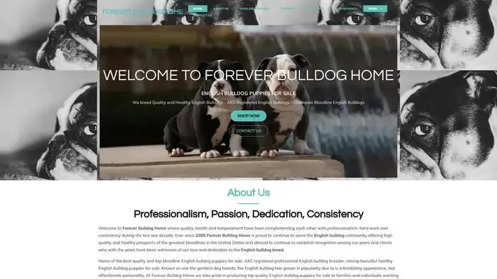 Screenshot of