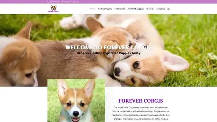 Screenshot of