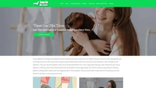 Screenshot of