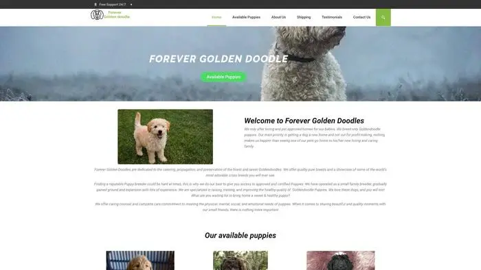Screenshot of