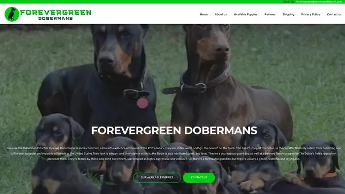 Screenshot of