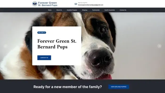 Screenshot of