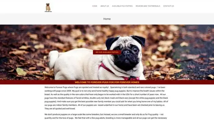 Screenshot of