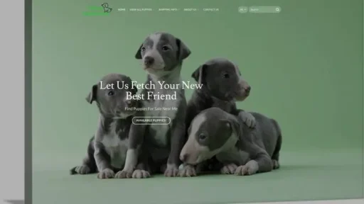Screenshot of