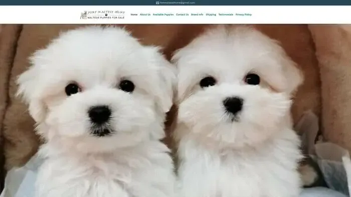 Screenshot of