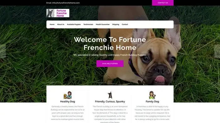 Screenshot of