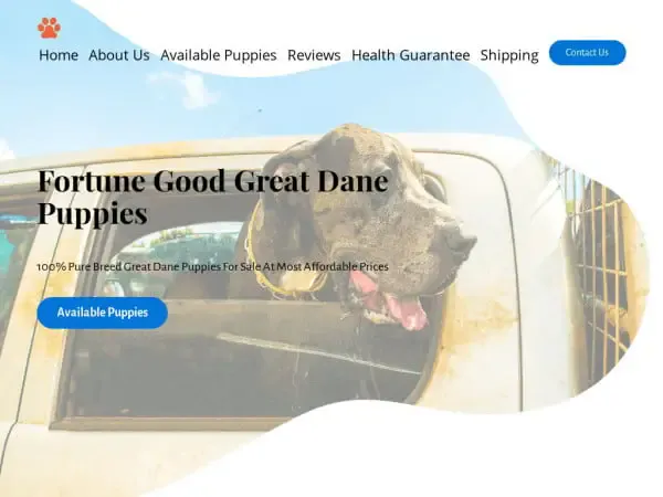 Screenshot of
