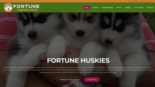 Screenshot of