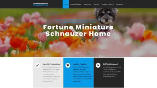 Screenshot of