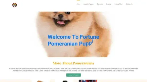 Screenshot of
